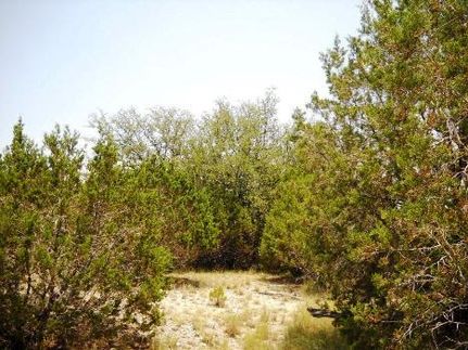Farm and Ranch in Lampasas County, Texas