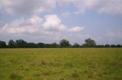 Land in Brazoria County, Texas
