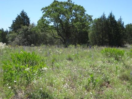Farm and Ranch in Burleson County, Texas