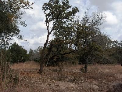 Farm and Ranch in Burleson County, Texas