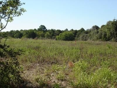 Farm and Ranch in Bastrop County, Texas
