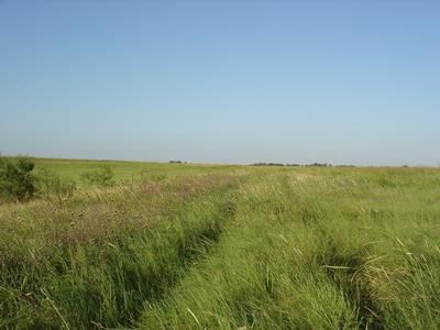 Farm and Ranch in Hill County, Texas