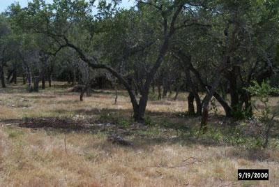 Undeveloped Land in Williamson County, Texas