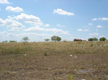 Farm and Ranch in Bell County, Texas