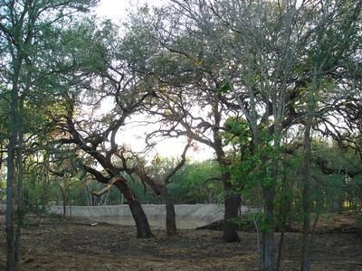 Farm and Ranch in Caldwell County, Texas