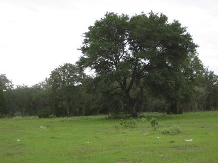 Farm and Ranch in Lee County, Texas