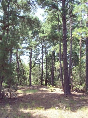 Farm and Ranch in Lee County, Texas