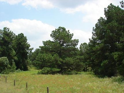 Farm and Ranch in Caldwell County, Texas