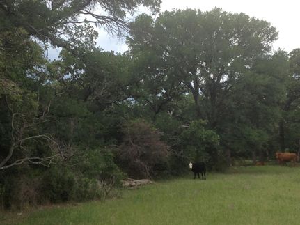 Farm and Ranch in McLennan County, Texas