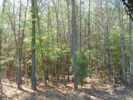 Recreational Property in Harrison County, Texas