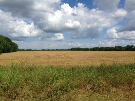 Farm and Ranch in Hunt County, Texas