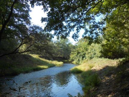 Riverfront Property in Marion County, Texas