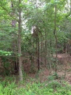 Land in Harrison County, Texas