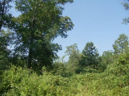 Land in Harrison County, Texas