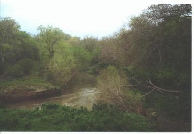 Timberland Property in Goliad County, Texas