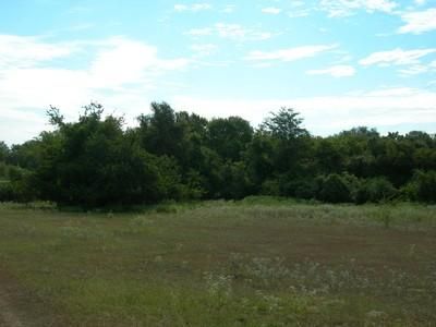 Farm and Ranch in Colorado County, Texas