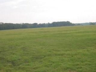 Undeveloped Land in Victoria County, Texas