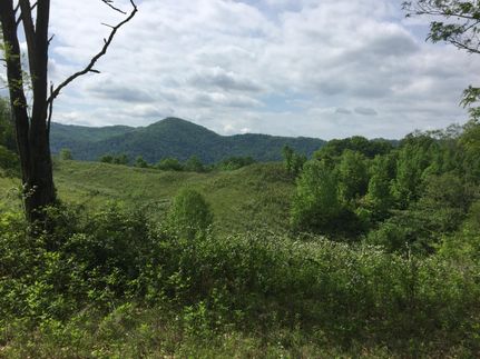 Undeveloped Land in Madison County, North Carolina