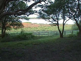 Farm and Ranch in Calhoun County, Texas
