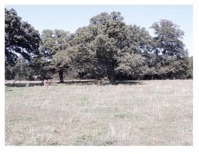 Farm and Ranch in Story County, Iowa