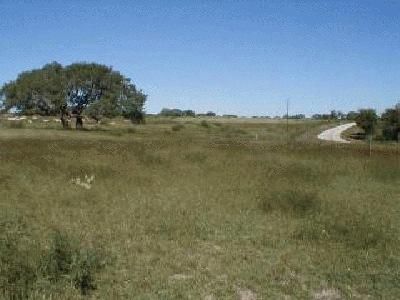 Farm and Ranch in Dewitt County, Texas