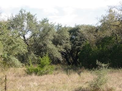 Farm and Ranch in Colorado County, Texas