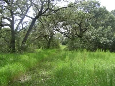 Farm and Ranch in Colorado County, Texas