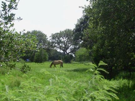 Farm and Ranch in Colorado County, Texas