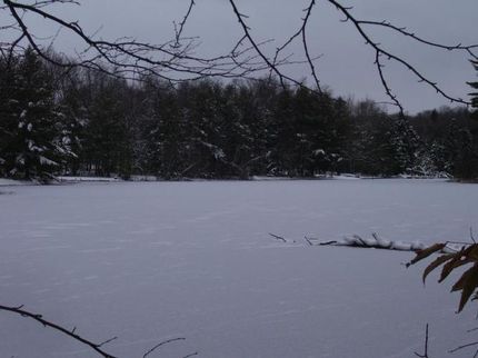 Farm and Ranch in Herkimer County, New York