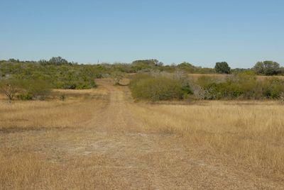 Land in Bee County, Texas