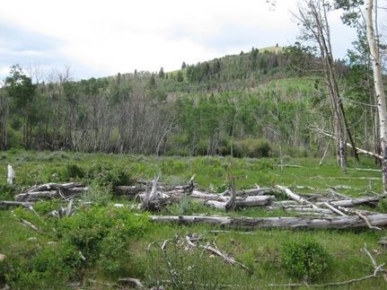 Farm and Ranch in Jackson County, Colorado