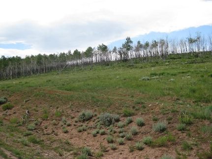 Farm and Ranch in Jackson County, Colorado