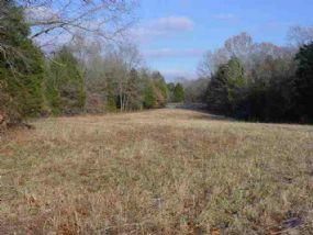 Farm and Ranch in Graves County, Kentucky