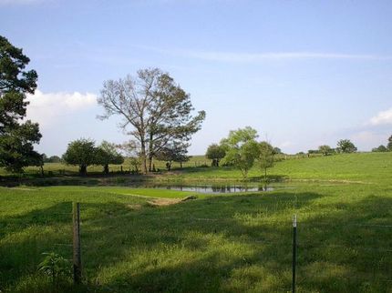 Land in Cullman County, Alabama