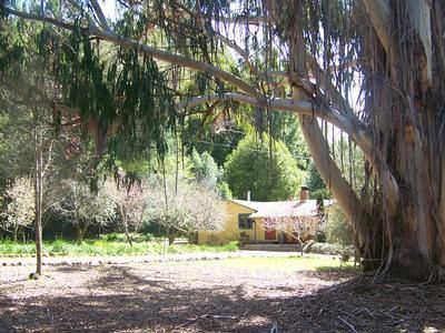 Timberland Property in Mendocino County, California