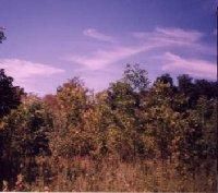 Land in Clermont County, Ohio