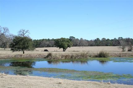 Farm and Ranch in Montgomery County, Texas