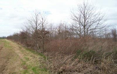 Farm and Ranch in Saint Landry Parish, Louisiana