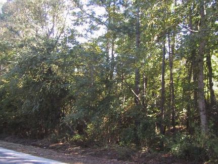 Land in Henderson County, Texas