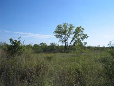 Farm and Ranch in Haskell County, Texas