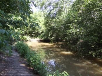 Farm and Ranch in Calhoun County, Georgia