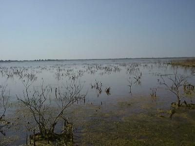Land in Haskell County, Texas