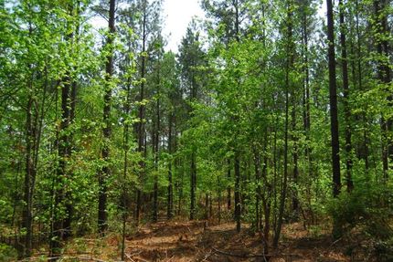 Land in Laurens County, South Carolina