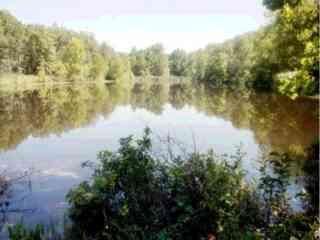 Timberland Property in Sharp County, Arkansas