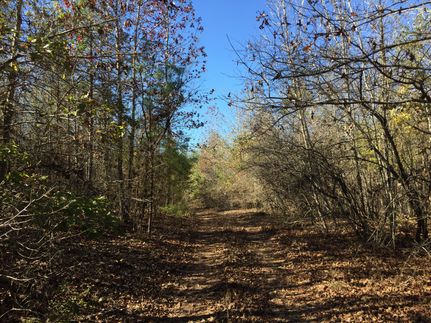 Farm and Ranch in Union Parish, Louisiana