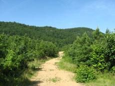 Land in Montgomery County, Arkansas