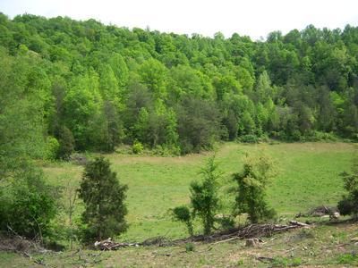 Farm and Ranch in Wayne County, Kentucky