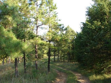 Farm and Ranch in Lamar County, Texas