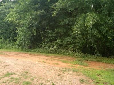 Land in Bartow County, Georgia