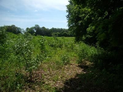 Land in Russell County, Kentucky